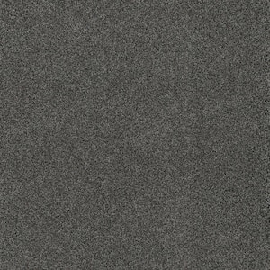 Delight II - Sunny - Gray 65 oz. SD Polyester Texture Installed Carpet