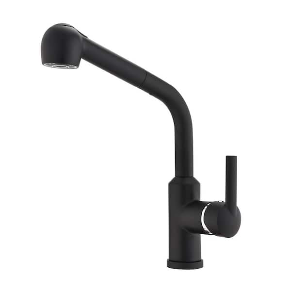 cadeninc Single Handle Pull Out Sprayer Kitchen Faucet in Matte Black