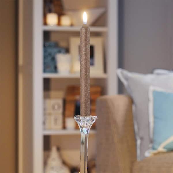 ROOT CANDLES Timberline Arista 9 in. Portobello Brown Unscented Taper Candle (Box of 12)