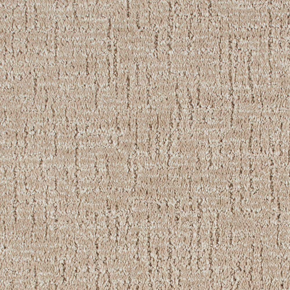 8 in. x 8 in. Pattern Carpet Sample - Truse -Color Harmony