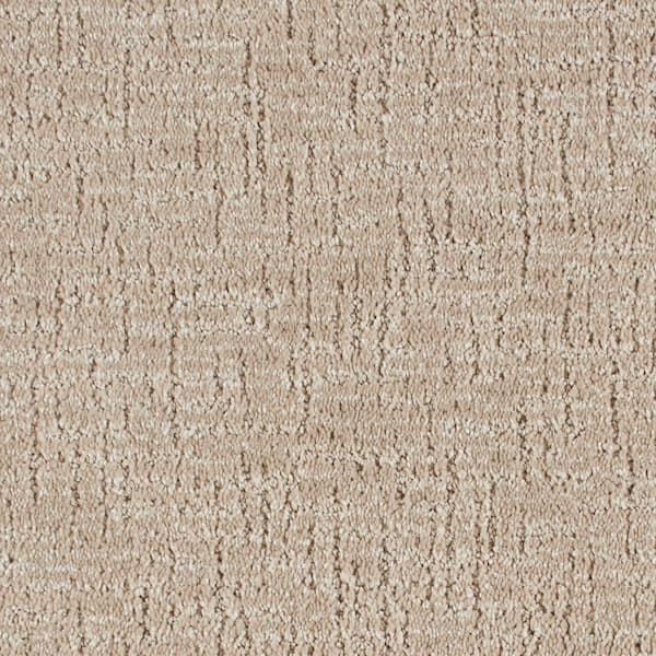 Unbranded 8 in. x 8 in. Pattern Carpet Sample - Truse -Color Harmony