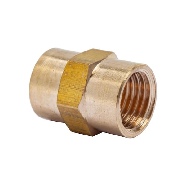 LTWFITTING 1/4 in. FIP Brass Pipe Coupling Fitting (25-Pack)
