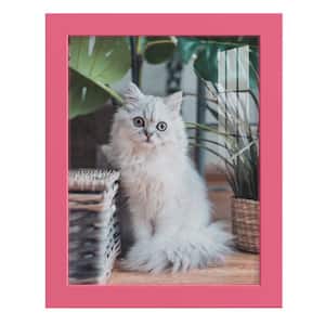 Modern 8 in. x 10 in. Hot Pink Picture Frame