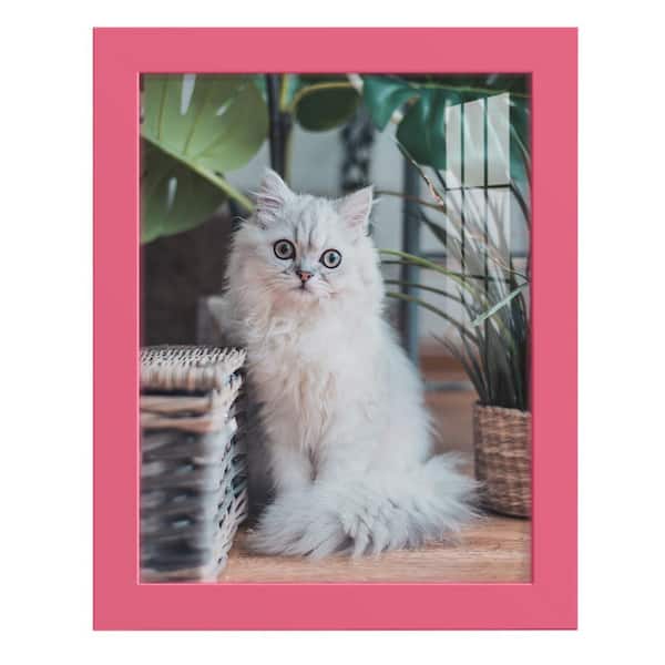 Wexford Home Modern 8 in. x 10 in. Hot Pink Picture Frame