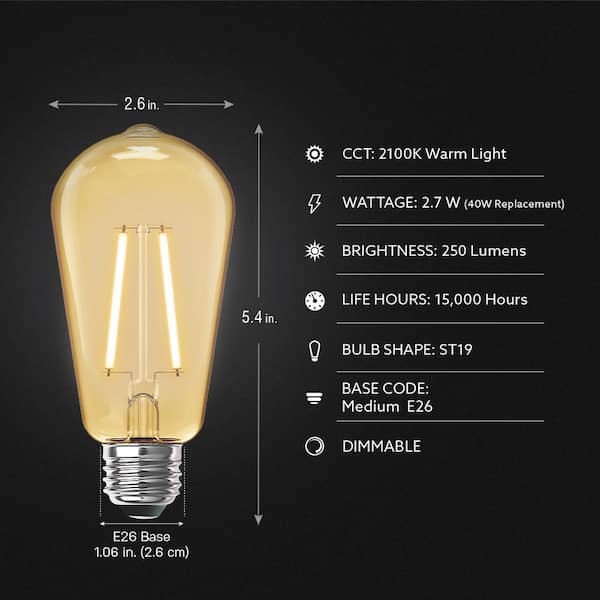 Feit Electric 25-Watt Equivalent ST19 Dimmable Straight Filament