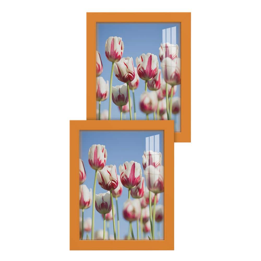 Wexford Home Modern 8 in. x 10 in. Orange Picture Frame (Set of 2