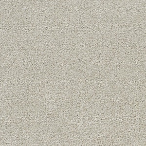 Evermore II - Forever Beige - 55 Oz. SD Polyester Texture Installed Carpet