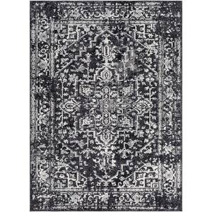 Demeter Black 2 ft. x 3 ft. Oriental Area Rug