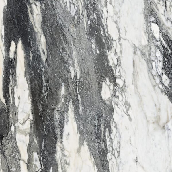 モラモラi Daltile Lamora Nero Marble 24 in. x 24 in. Matte Porcelain