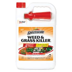 Weed and Grass Killer 128 oz. Ready-to-Use Sprayer