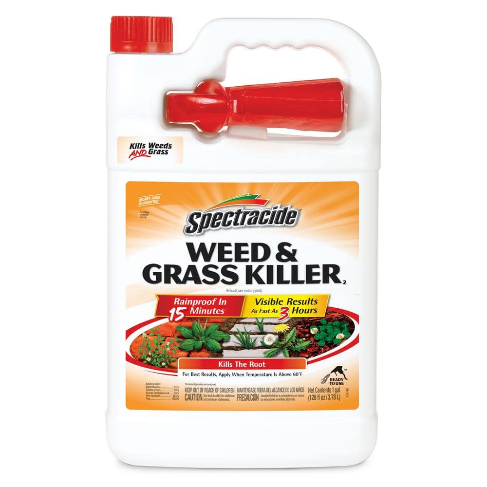 Spectracide Grass & Weed Killer RTU Liquid 1 gal