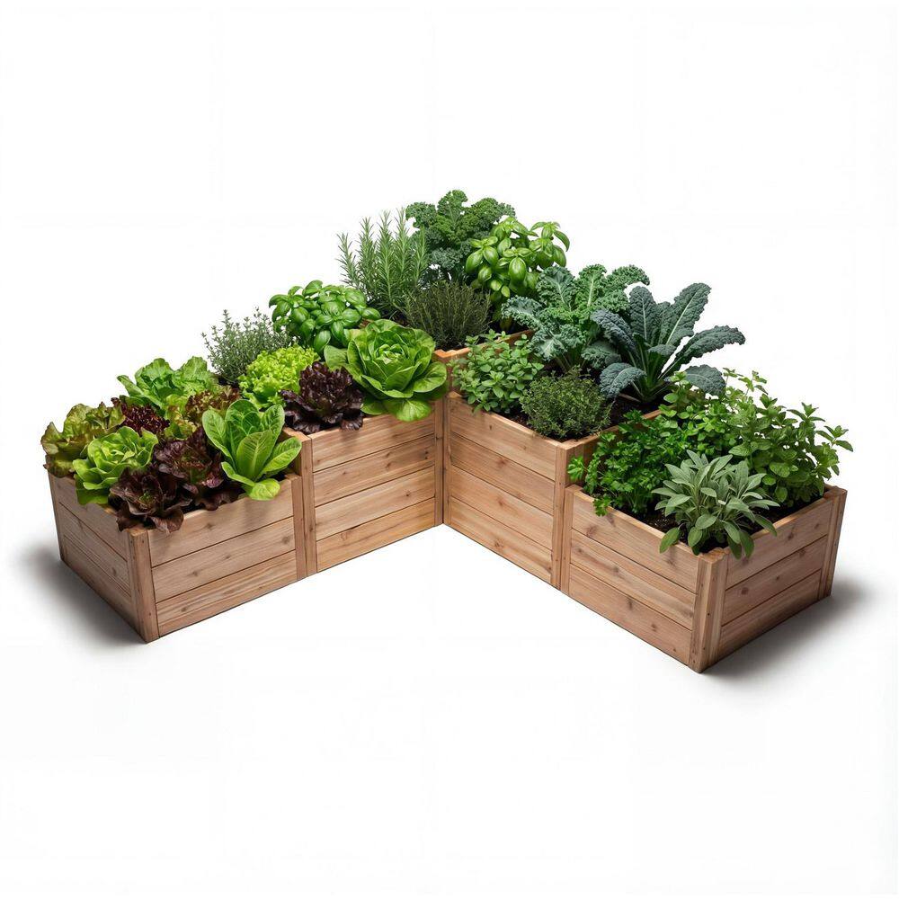 5. 5ft x2ft L-Shaped Western Red Cedar Raised Garden Bed price history on PriceWatchPro
