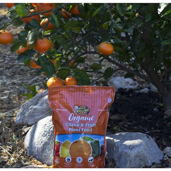 Kellogg Garden Organics 4.0 lbs. Organic Citrus and Fruit Plant