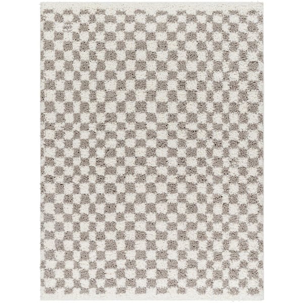 Birmingham Gray 5 ft. x 7 ft. Checkered Indoor Area Rug