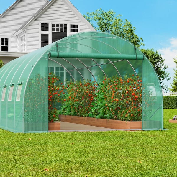 Walk-in Tunnel Greenhouse 19.4 x 9.7 x 6.5 ft. Hoop House Greenhouse Tunnel, Plant Hot House with Galvanized Steel Frame