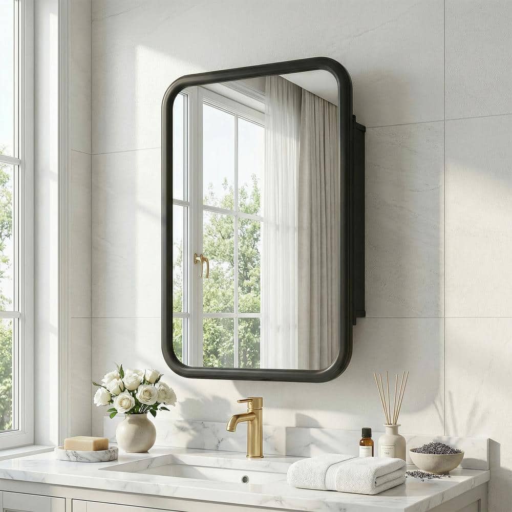 29.9 in. H x 19.7 in. W Rectangular Recessed/Surface Mount Medicine Cabinet with Mirror in Black price history on PriceWatchPro