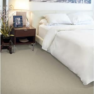 Feather - Swan - Beige 12 ft. 54 oz. Wool Texture Installed Carpet