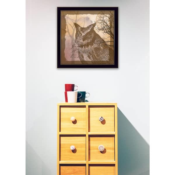 Unbranded 14 in. x 14 in. ''Owl" by Barb Tourtillotte Printed Framed Wall Art