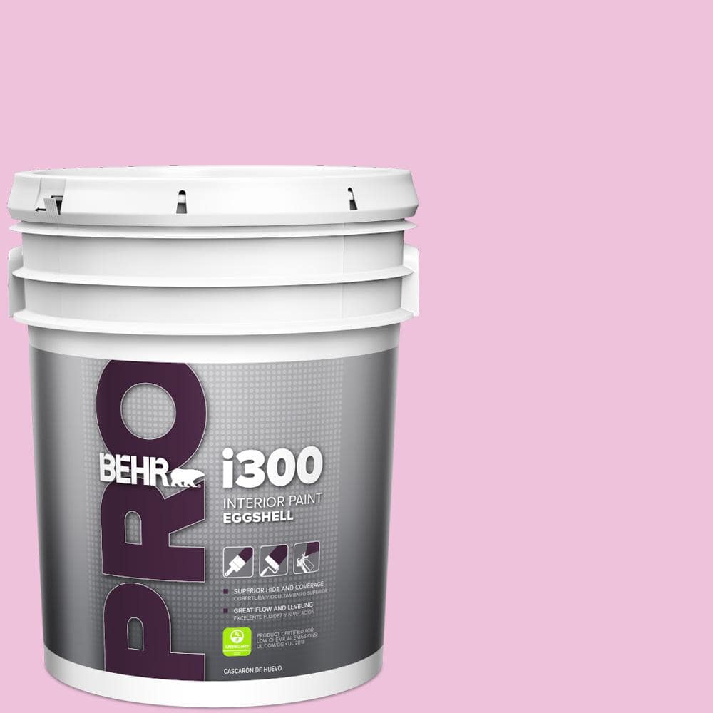 5 gal. #P120-1 Starlet Pink Eggshell Interior Paint price history on PriceWatchPro