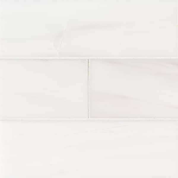 MSI Take Home Tile Sample - Bianco Dolomite 4 in. x 4 in. Polished Floor and Wall Marble Tile