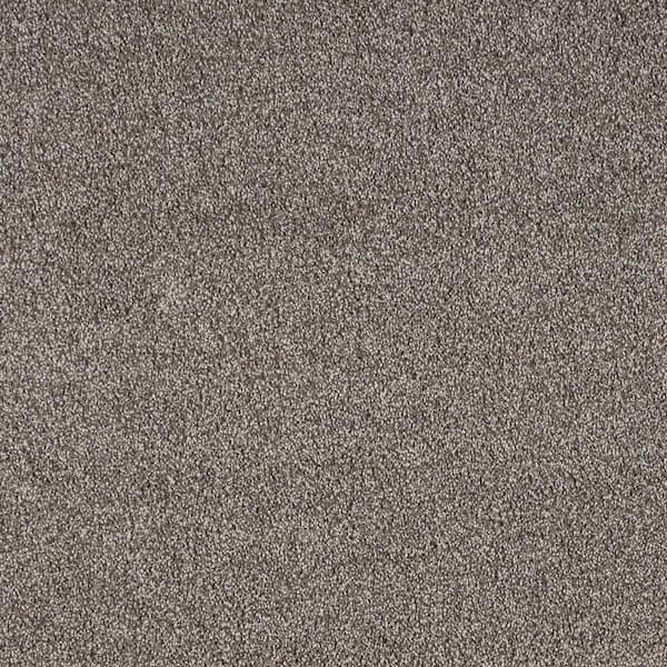 Lifeproof with Petproof Technology Northern Hills II Elevation Grey 54 oz. Blend Texture Installed Carpet