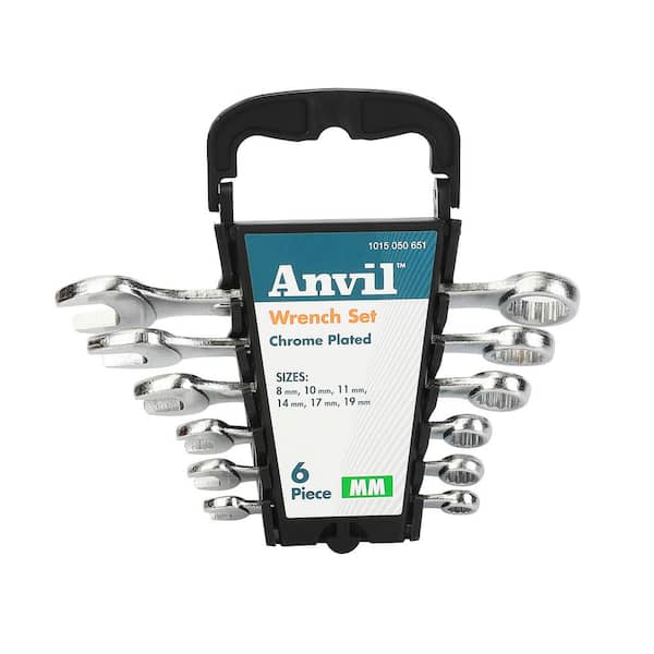 6-Piece Metric Combination Wrench Set with Case