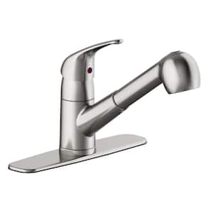Raleigh Single-Handle Pull-Out Sprayer Kitchen Faucet in Stainless Steel