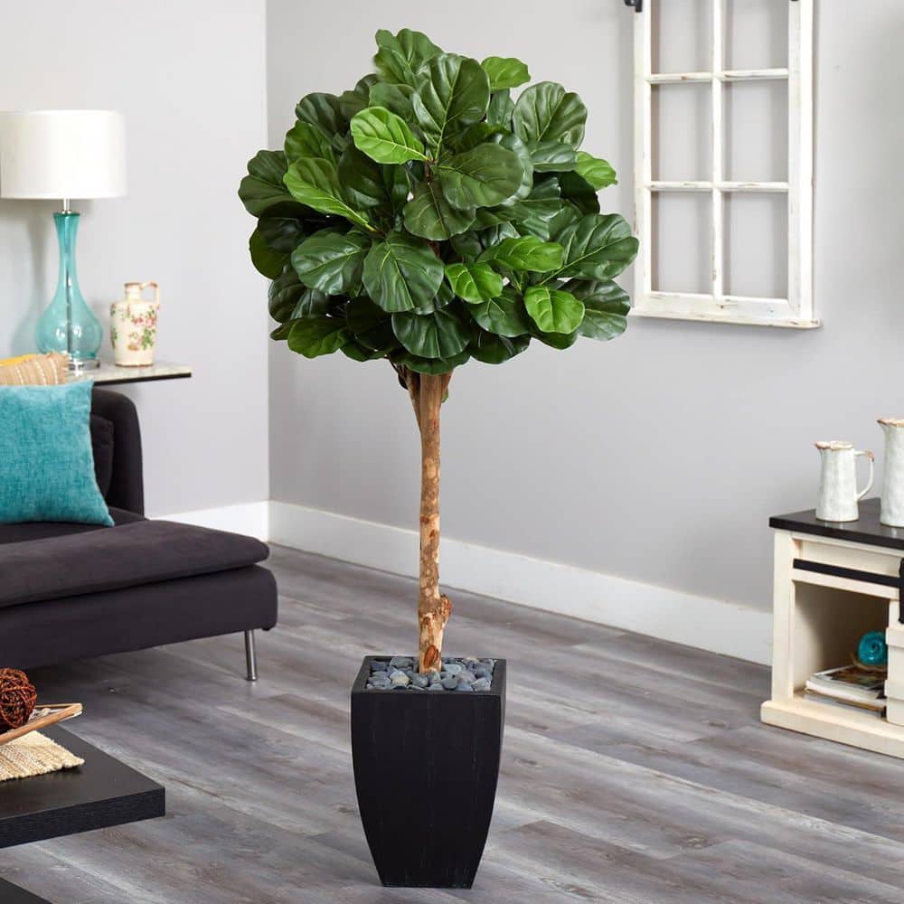 5.9 ft. Artificial Fig Tree in Planter for Indoor/Outdoor price history on PriceWatchPro
