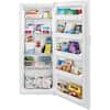 27.8 in. 13 cu. Ft. Frost Free, Garage Ready Upright Freezer