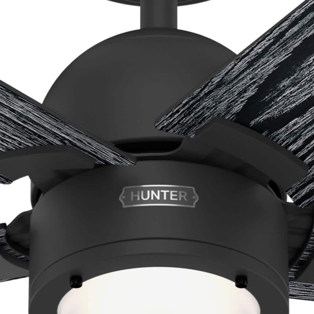 Erling Matte Black 52" Ceiling Fan with LED Light and Remote