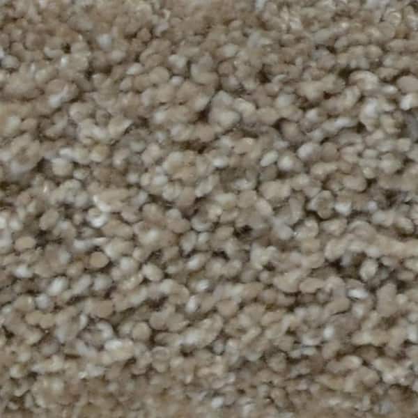 Home Decorators Collection Carpet Sample - Great Moments I (T) - Color Restful Retreat Texture 8 in. x 8 in.