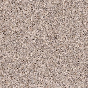 Delight II - Amuse - Beige 65 oz. SD Polyester Texture Installed Carpet
