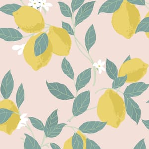 Feeling Fruity Blush Pink Matte Non Woven Removable Paste the Wall Wallpaper Sample