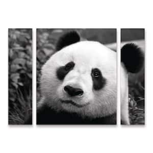 SD Smart Giant Panda 3-Piece Panel Set Unframed Photography Wall Art 24 in. x 32 in.