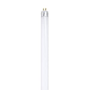 13-Watt 21 in. T5 G5 Linear Fluorescent Tube Light Bulb, Cool White 4100K (1-Bulb)