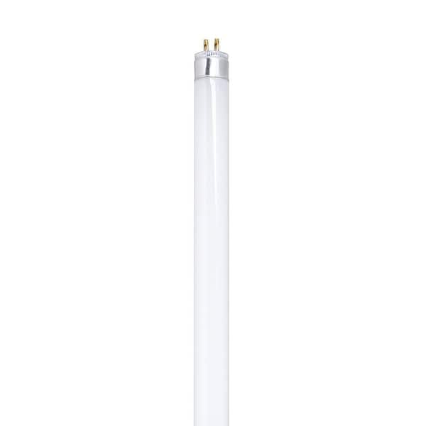 Feit Electric 13-Watt 21 in. T5 G5 Linear Fluorescent Tube Light Bulb, Cool White 4100K (1-Bulb)
