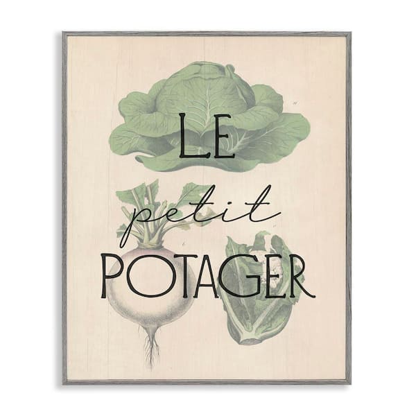 Stupell Industries French Vegetable Garden by Daphne Polselli Gray Framed Food Giclee Art Print 30 in. x 24 in.