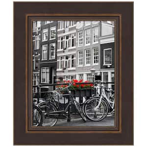 11 in. x 14 in. Lara Bronze Wood Picture Frame Opening Size