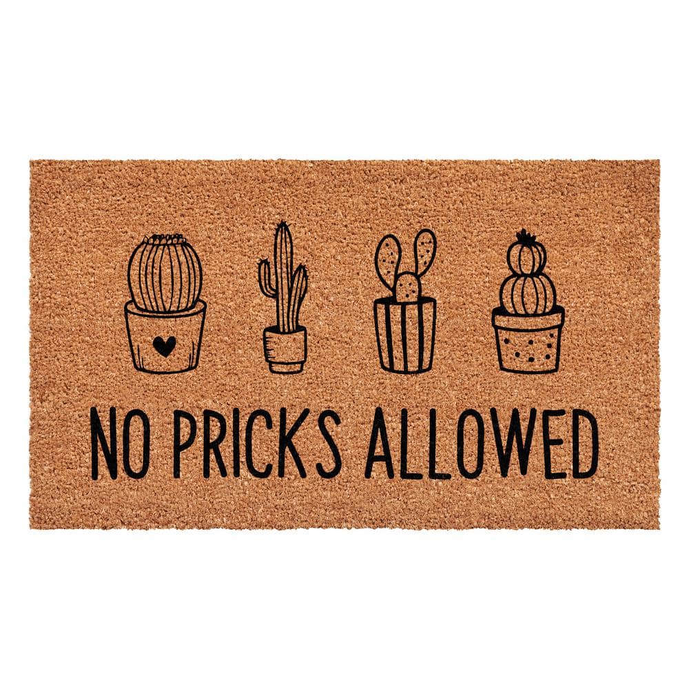 No Pricks Allowed Multi-Colored 17 in. x 29 in. Indoor or Outdoor Doormat price history on PriceWatchPro