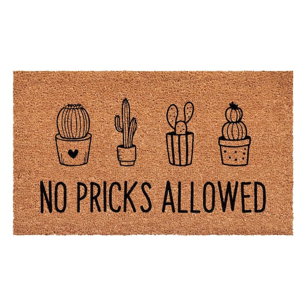 Calloway Mills No Pricks Allowed Multi-Colored 17 in. x 29 in. Indoor or Outdoor Doormat
