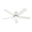 https://images.thdstatic.com/productImages/daaad621-fcdd-4f56-92eb-5c282d12fb70/svn/fresh-white-hunter-ceiling-fans-with-lights-50908-64_65.jpg