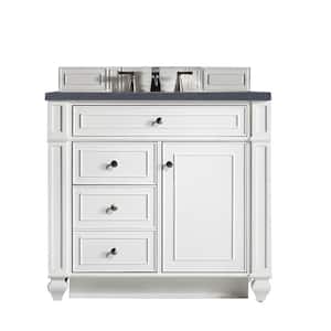 Bristol 36 in. w x 23.5 in. D x 34 in. H Single Vanity in Bright White with Quartz Top in Charcoal Soapstone