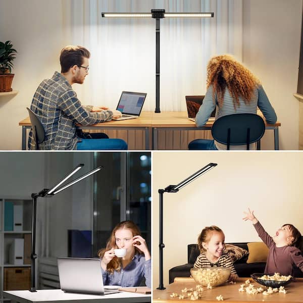 BICIK 30 in. Black 2-Head Integrated LED Adjustable Swing