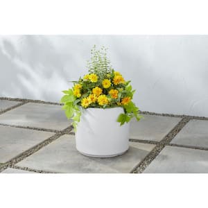 13 in. Eloise Medium Modern White Ceramic Cylinder Planter (13 in. D x 11.4 in. H) with Drainage Hole