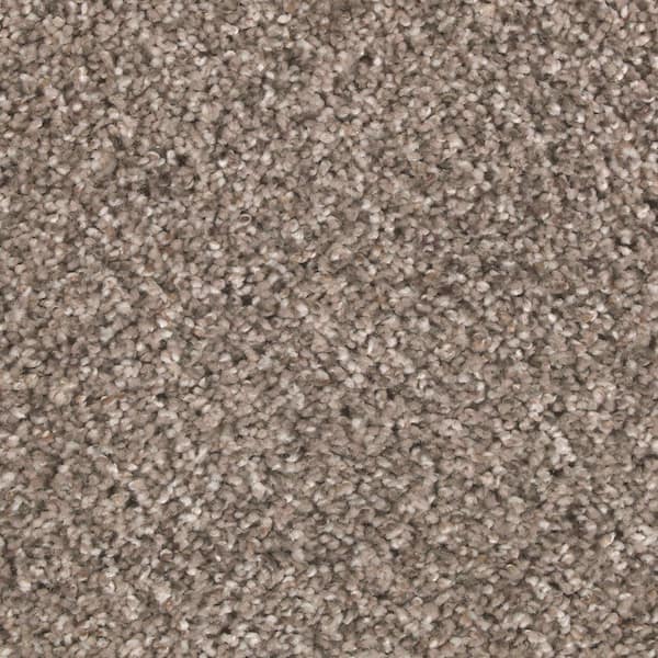 Lifeproof with Petproof Technology 8 in. x 8 in. Texture Carpet Sample ...