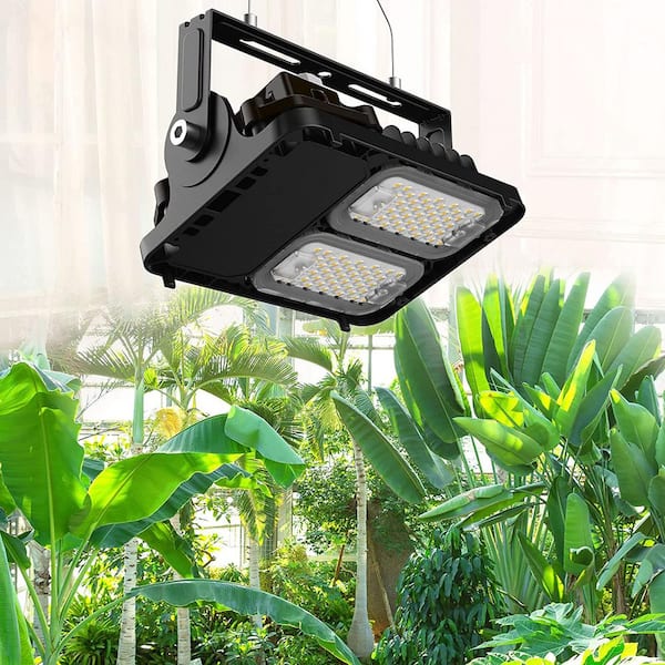 Indoor Plant Growing with LED Lights - The Home Depot