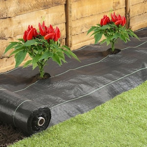 5 ft. x 100 ft. Easy-Plant Weed Block Mulch Weed Barrier Fabric with Planting Hole 4 in. Dia.