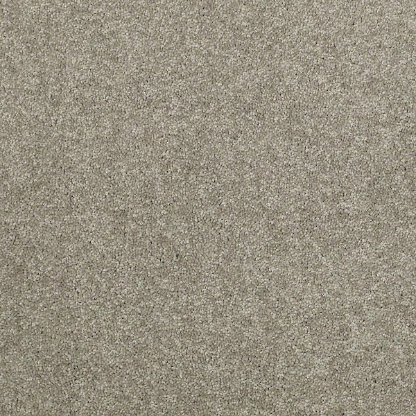 TrafficMaster 8 in. x 8 in. Texture Carpet Sample - Watercolors II ...