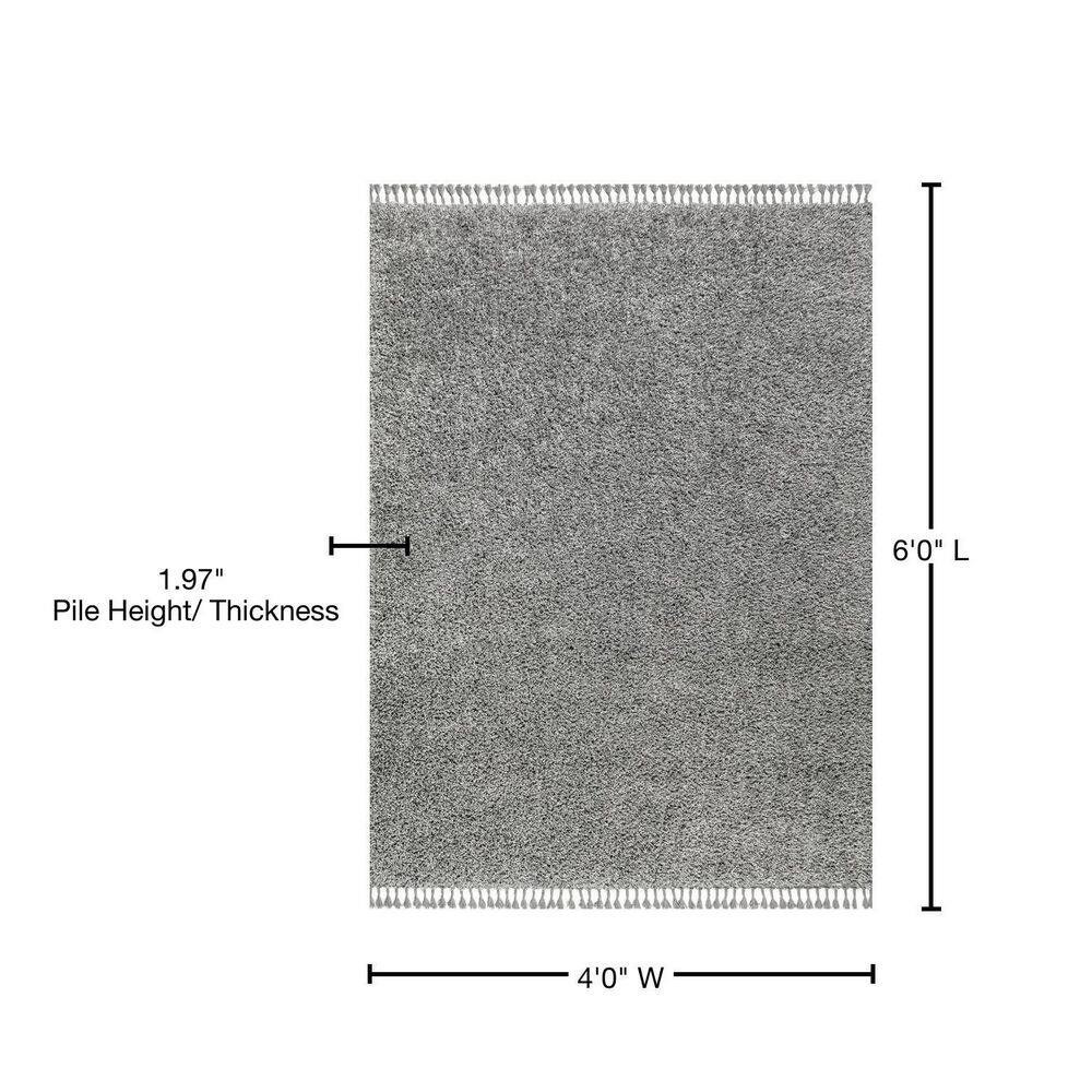 Charcoal 4' x 6' Reversible Shag Synthetic Area Rug