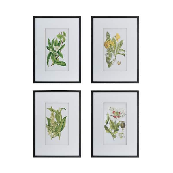 A & B Home Botanical Flower White Framed Wall Art (Set of 4).